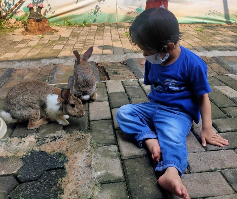 Anak bermain bersama kelinci